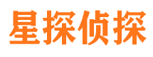 江岸市私家侦探